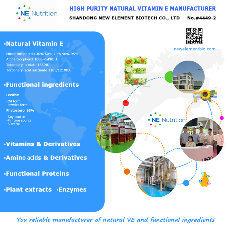 DB真人旗舰集团